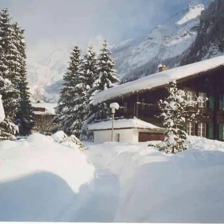 Apartment Chalet Baergli Apartment Kandersteg
